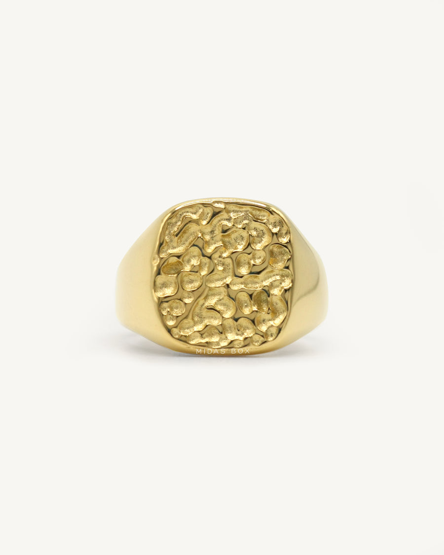 Nugget Rounded Square Signet Ring